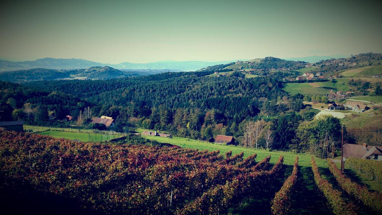 Weingut Reiterer Hotel Kitzeck im Sausal Eksteriør billede